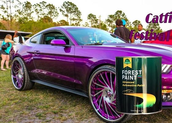 High Solid 1k Metallic Car Paint Binder , Automotive Epoxy Primer Spray Can